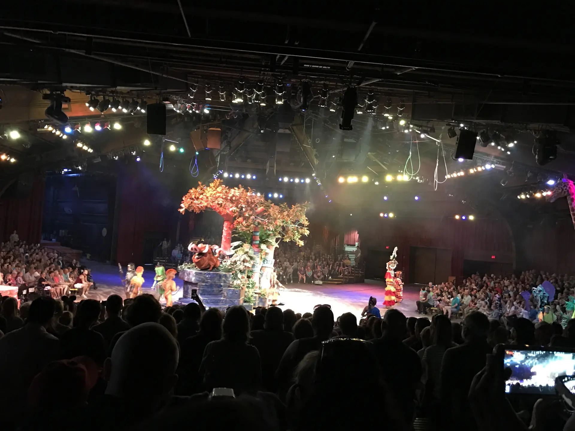 Palco do Festival of the Lion King no Animal Kingdom